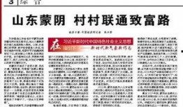 山东蒙阴媒体爆料新闻最新,媒体曝光惊人真相，详情即将揭晓